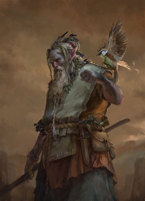 Druid .